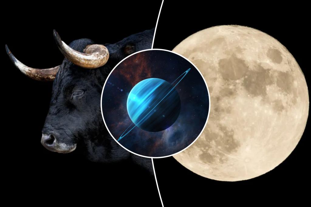 The Full Moon in Taurus is coming - hold on and walk until it wins you over